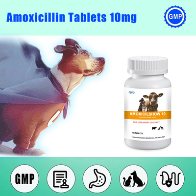 Weterynaryjna tabletka bolusowa Medycyna weterynaryjna Amoksycylina Tabletki 10 mg Przeciwwirusowe dla psa
