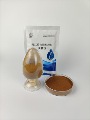 84687-43-4 Chińskie leki patentowe Astragalus Polisacharydy Ekstrakcja rozpuszczalnikiem