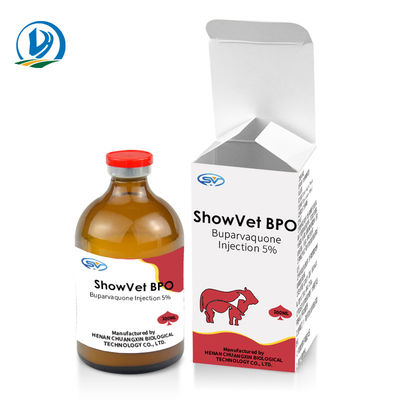 Buparvaquone Injection 5% Weterynaryjne leki do wstrzykiwań dla bydła cieląt owiec kozy psy koty