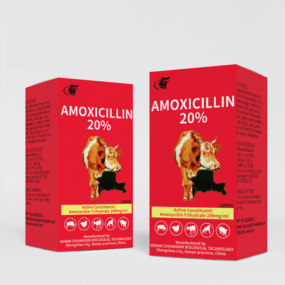 Weterynaryjne leki do wstrzykiwań Amoksycylina 20% dostawa zastrzyków od chińskich producentów